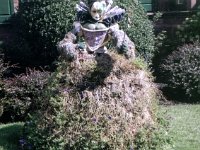 photos 2000-200901515